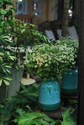 Tiem Ca Pho Nang Ther