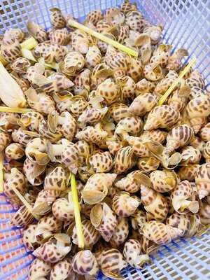 Cơm Niêu Toàn Phát