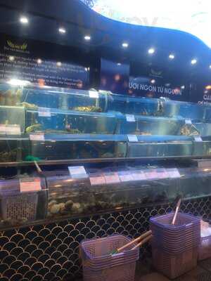 Hải Sản Hoàng Gia - Cn 94 Hòa Bình