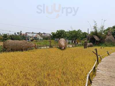 Chic Chillax Restaurant