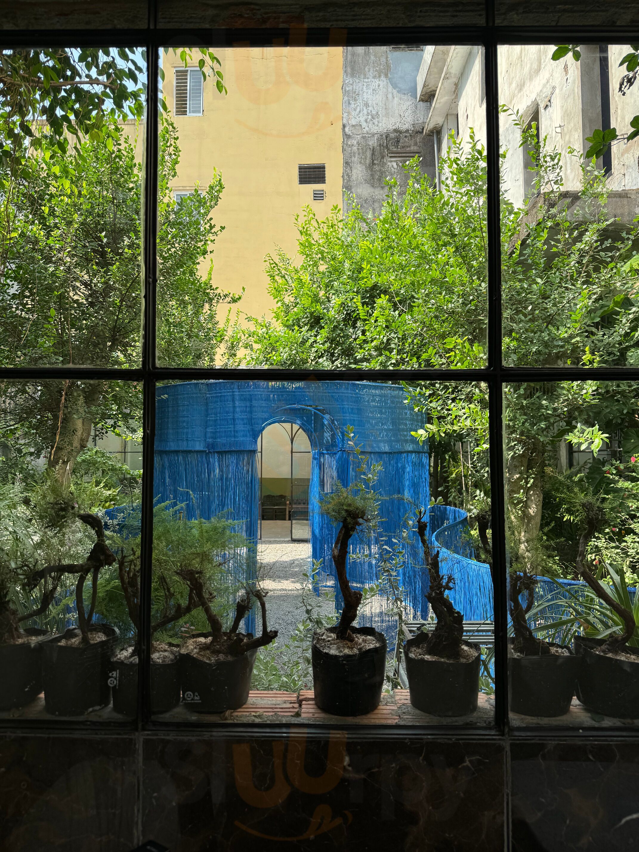 Xi-nê Bistro &amp; Jazz