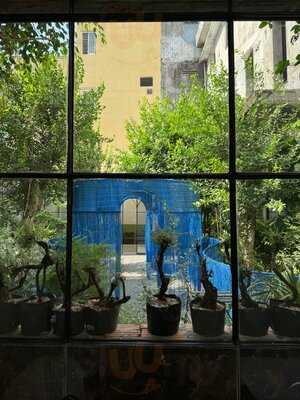 Xi-nê Bistro &amp; Jazz