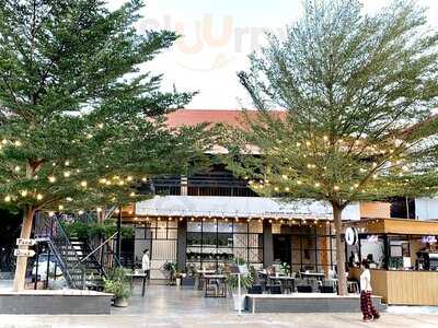 Shadow Cat Station (branch 2)