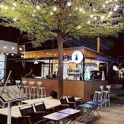 Shadow Cat Station (branch 2)