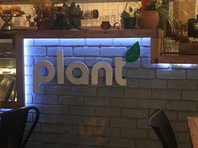 Plant