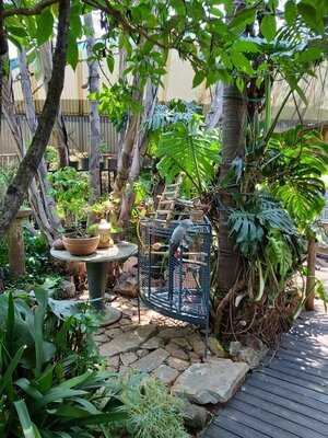 Schafflers Under The Trees Garden Cafe