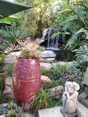 Schafflers Under The Trees Garden Cafe