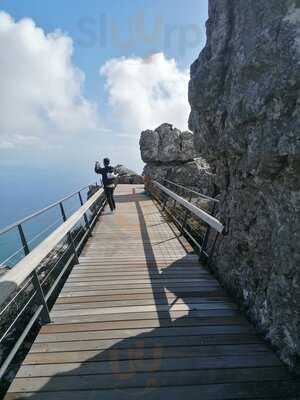 Table Mountain Cafe