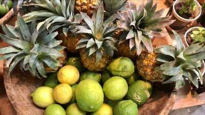 Wildsprout - Kenilworth