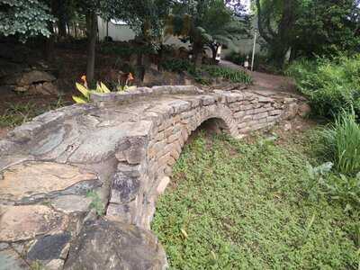 The Secret Tea Garden