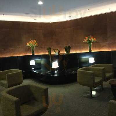 Cycad-first-class-lounge