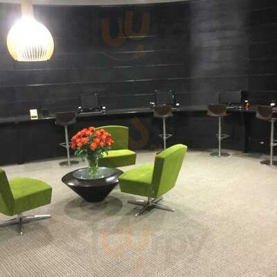 Cycad-first-class-lounge