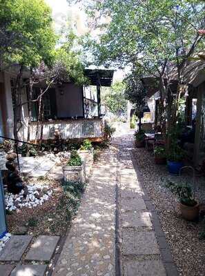 Pebbles & Catz Pyjamas