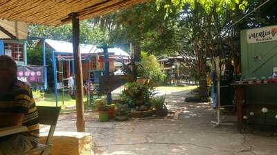 Pebbles & Catz Pyjamas