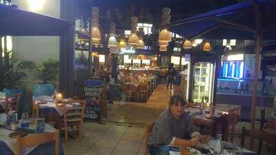 Ocean Basket Paddocks