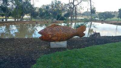 Seasons At Diemersfontein