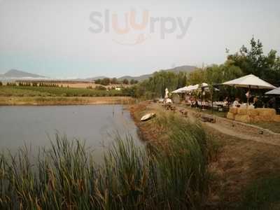 Lazanou Organic Vineyards