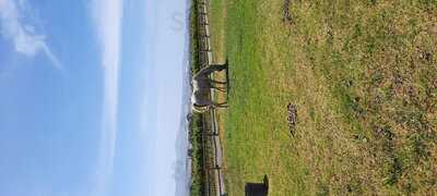 Longridge Restaurant