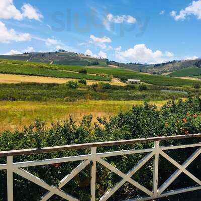 Tasting Destination At Mulderbosch Vineyards