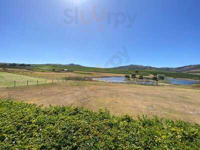 Tasting Destination At Mulderbosch Vineyards