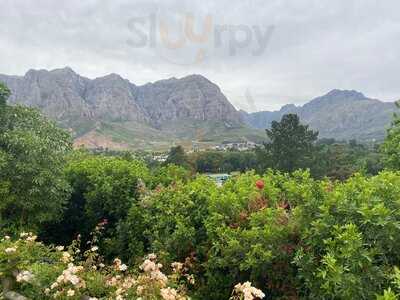 Hillcrest Berry Orchard