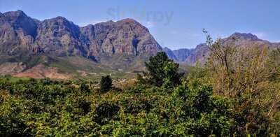 Hillcrest Berry Orchard
