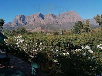 Hillcrest Berry Orchard