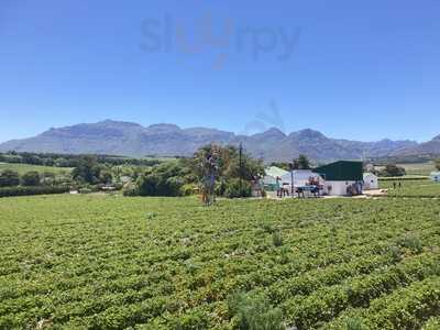 The Thirsty Scarecrow