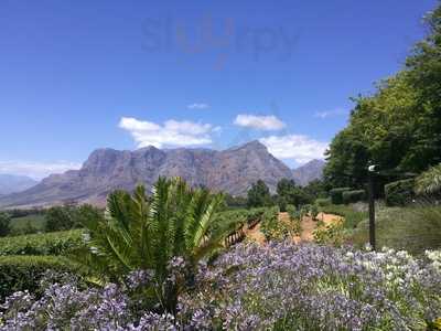 Tshisanyama @ D'trekka