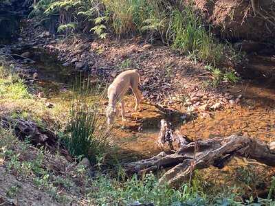 Vygie Kitchen And Dining Room