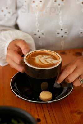 Selva Grind & Greenery